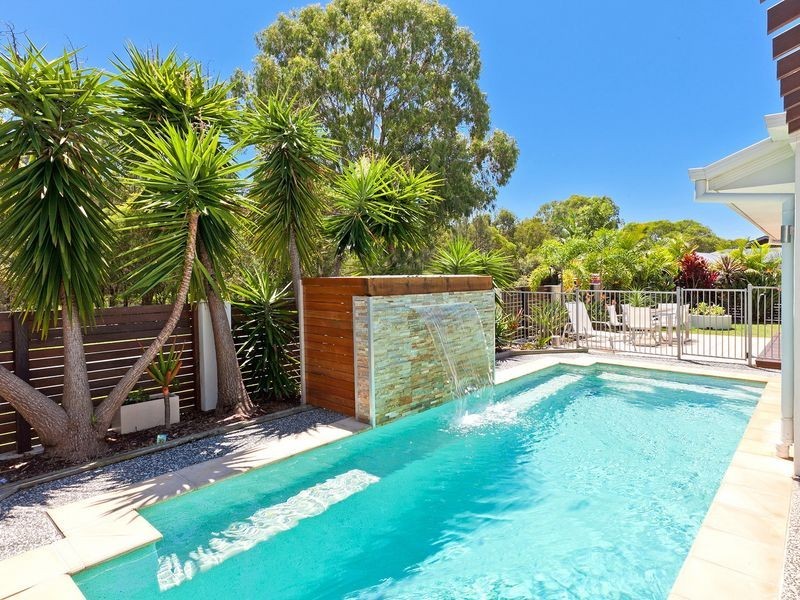 49 Ribonwood Street, Thornlands QLD 4164