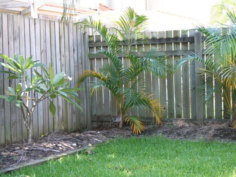 15/180 Middle Street, Cleveland QLD 4163