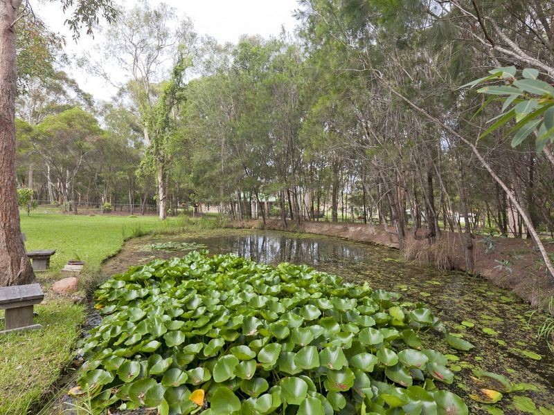 19 Greenfield Road, Capalaba QLD 4157