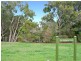 54 Lorikeet Drive, Thornlands QLD 4164