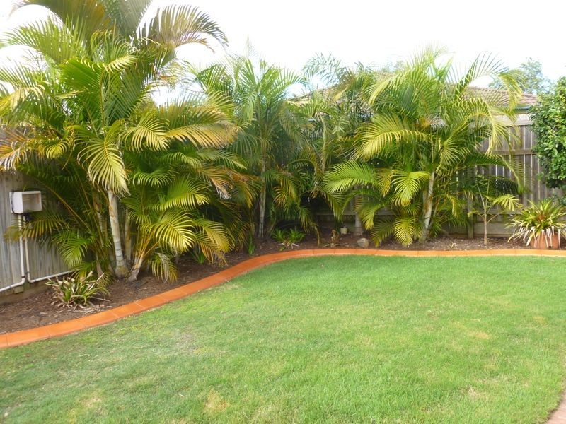 15 Goleby Esp, Cleveland QLD 4163