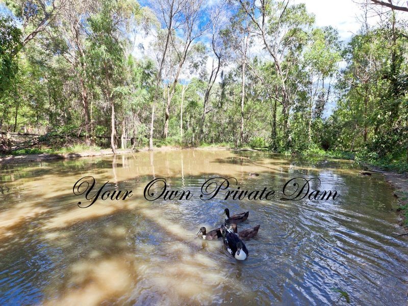 21 Mahogany Street, Capalaba QLD 4157