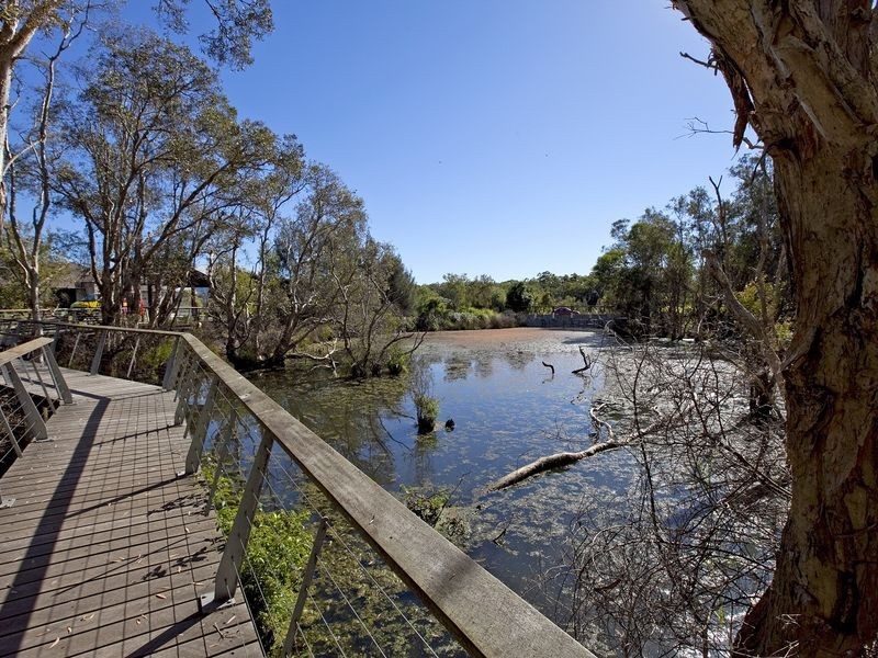 4 Truscot Place, Thornlands QLD 4164