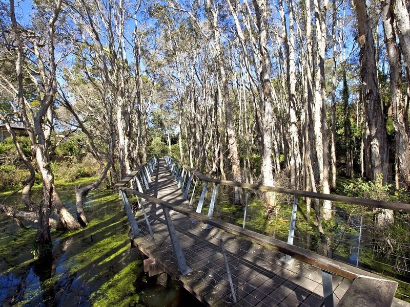 4 Truscot Place, Thornlands QLD 4164