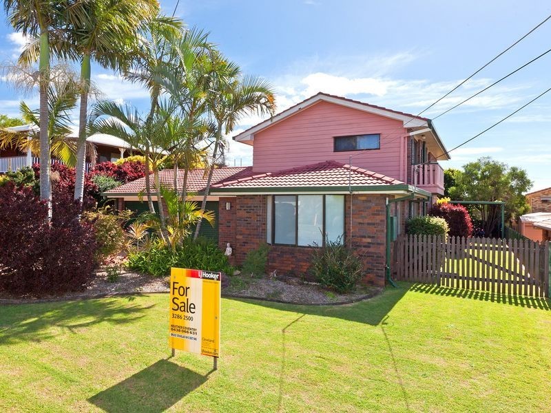20 Dell Street, Cleveland QLD 4163