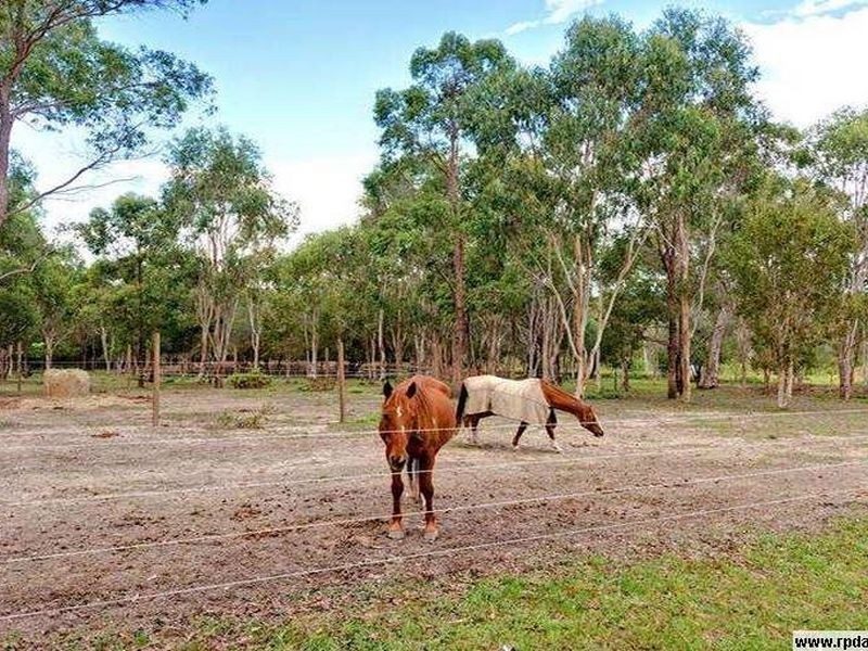 36 Solway Cres, Carbrook QLD 4130