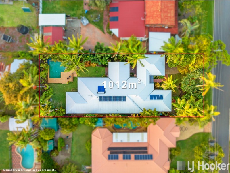 10 Gotha Street, Cleveland QLD 4163