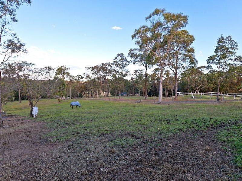 317 Woodlands Drive, Sheldon QLD 4157