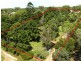 62 Ziegenfusz Road, Thornlands QLD 4164
