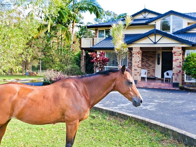 5 Tahoe Court, Thornlands QLD 4164