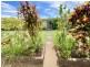 4/12-14 Blake Street, Cleveland QLD 4163