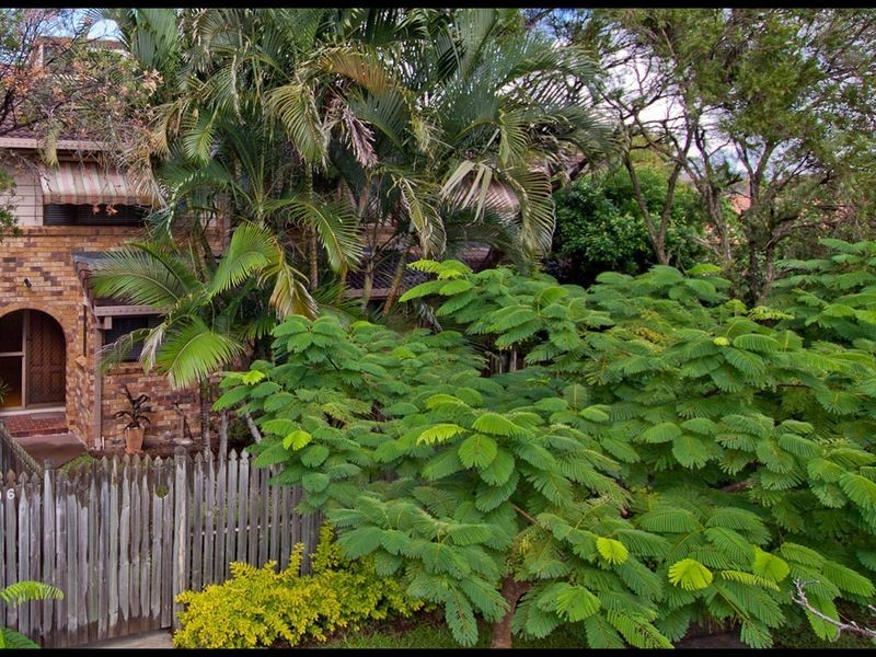 3/96 Wynyard Street, Cleveland QLD 4163