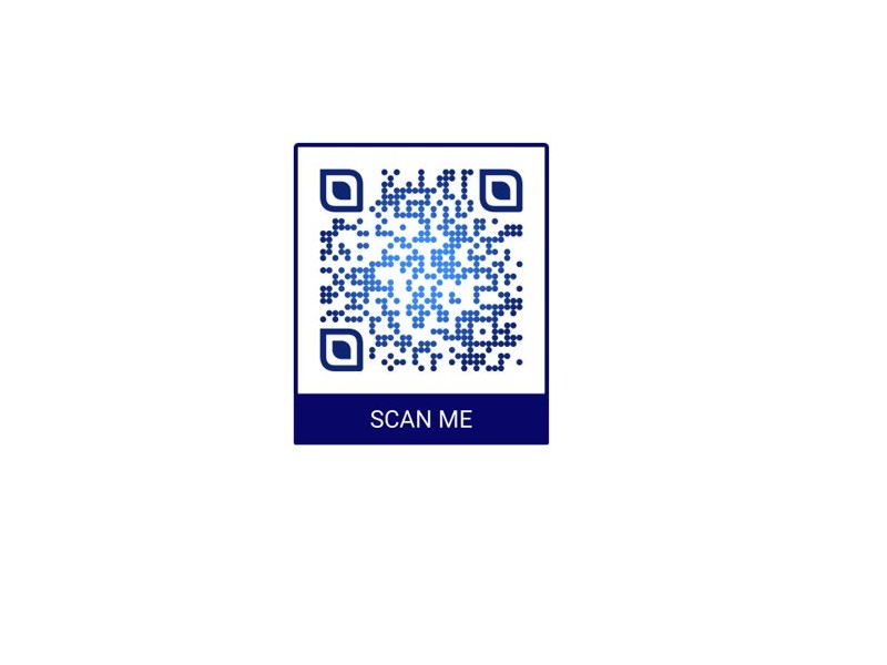 56 Napier Street, Birkdale QLD 4159