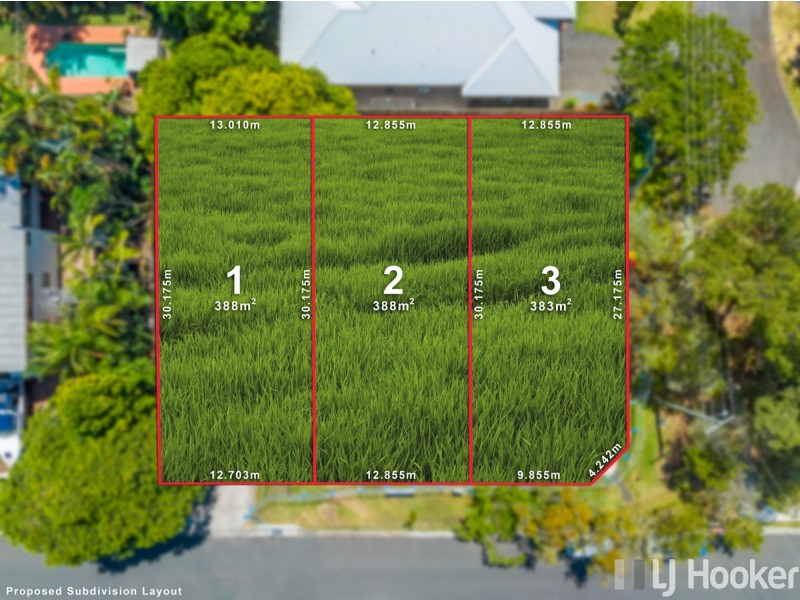 7 Paxton Street, Cleveland QLD 4163