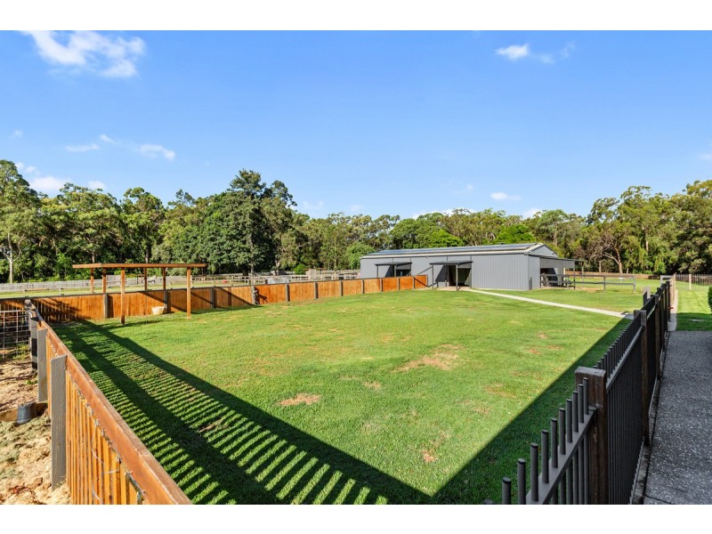 20 Camrose Street, Chandler QLD 4155