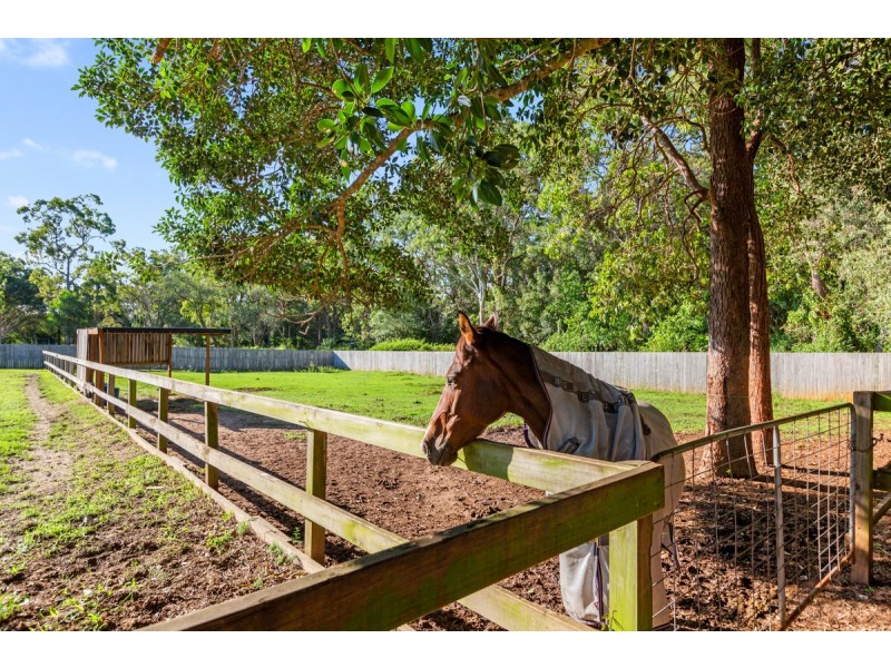 20 Camrose Street, Chandler QLD 4155