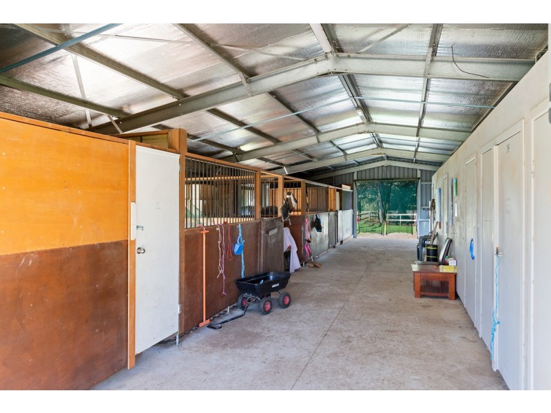 20 Camrose Street, Chandler QLD 4155