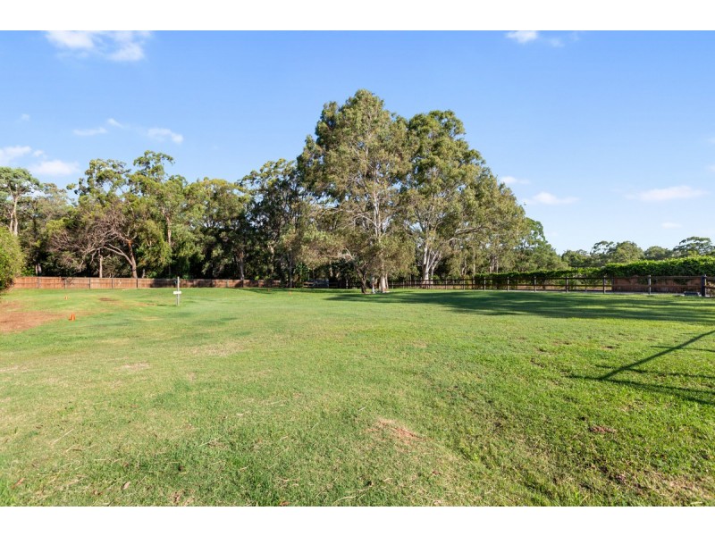 20 Camrose Street, Chandler QLD 4155