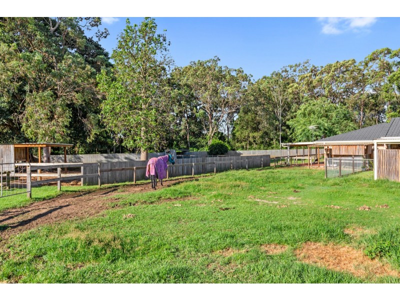 20 Camrose Street, Chandler QLD 4155