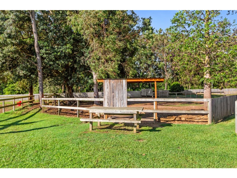 20 Camrose Street, Chandler QLD 4155