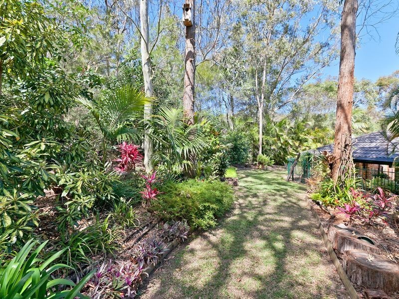 37 Parkwood Drive, Capalaba QLD 4157