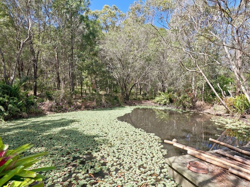 37 Parkwood Drive, Capalaba QLD 4157