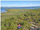43 Doverton Drive, Russell Island QLD 4184