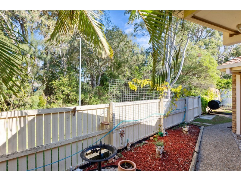 52 Ashwood Circuit, Birkdale QLD 4159