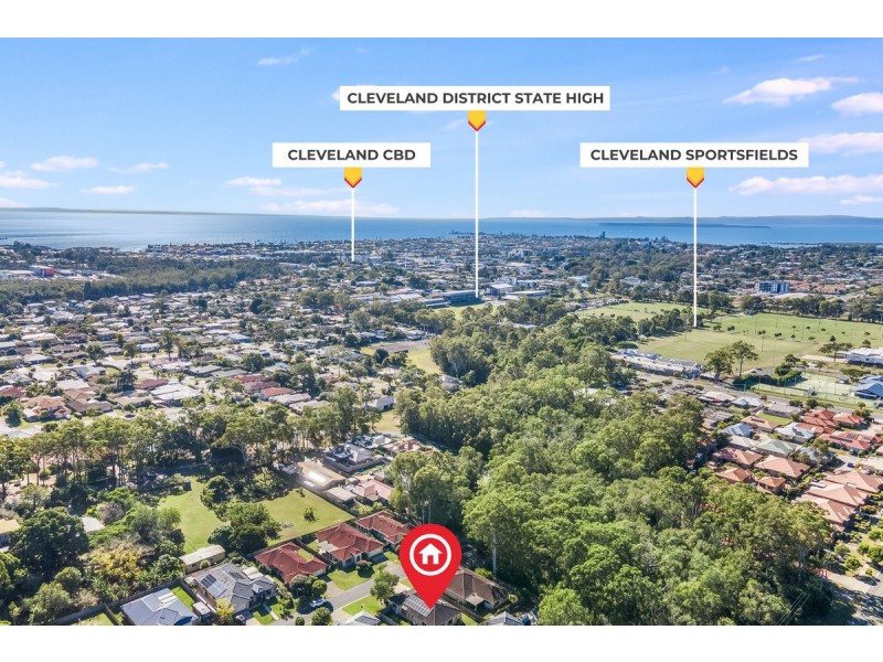 24 Adam Street, Cleveland QLD 4163