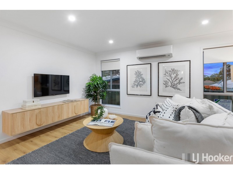 4 Nicole Street, Cleveland QLD 4163