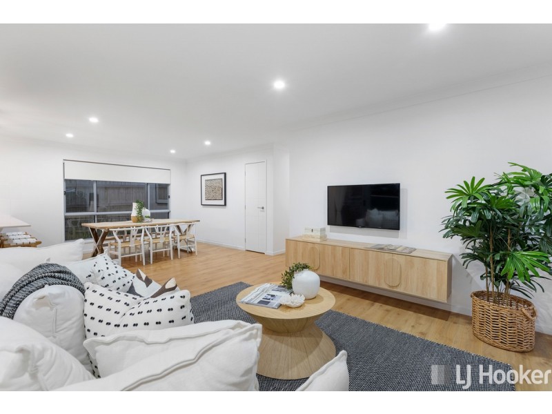 4 Nicole Street, Cleveland QLD 4163