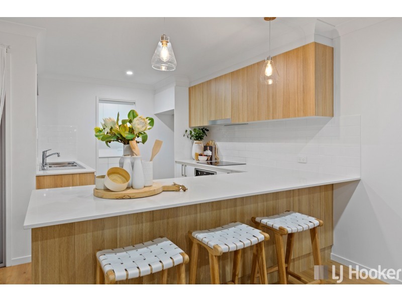 4 Nicole Street, Cleveland QLD 4163