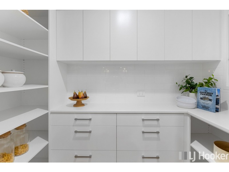 4 Nicole Street, Cleveland QLD 4163