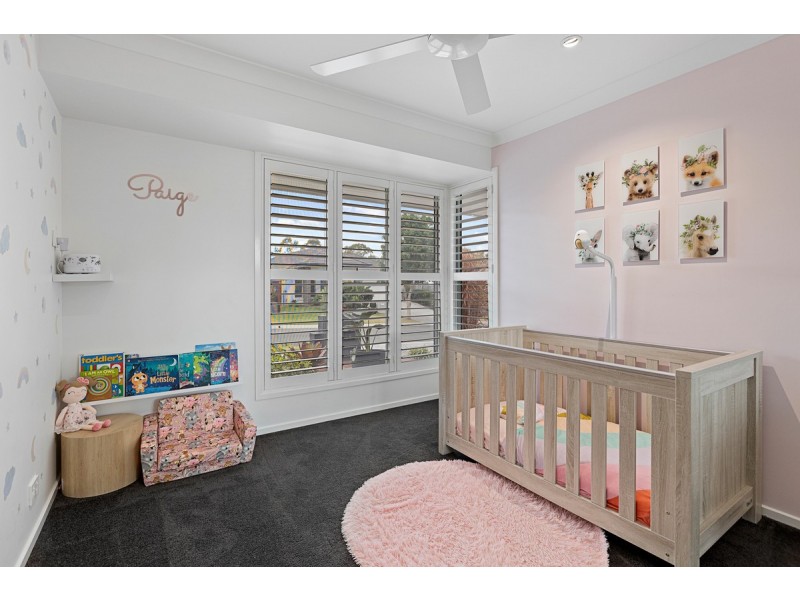 17 Davenport Street, Thornlands QLD 4164