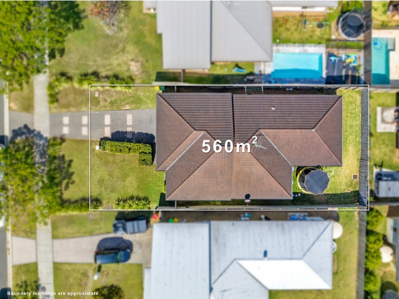 180 Waterloo Street, Cleveland QLD 4163