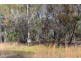 10 Cutler Drive, Russell Island QLD 4184