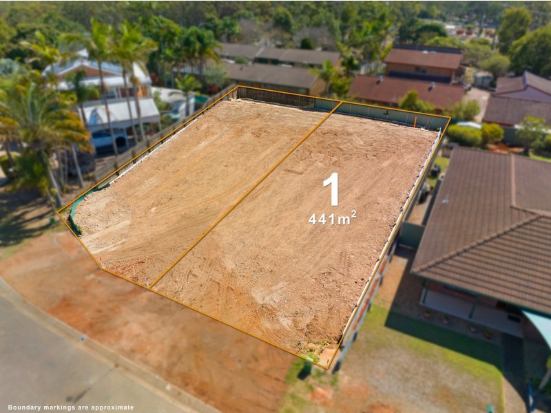 3 Courageous Court, Cleveland QLD 4163