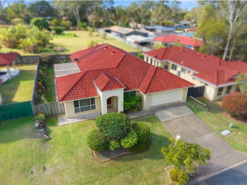 17 Adam Street, Cleveland QLD 4163