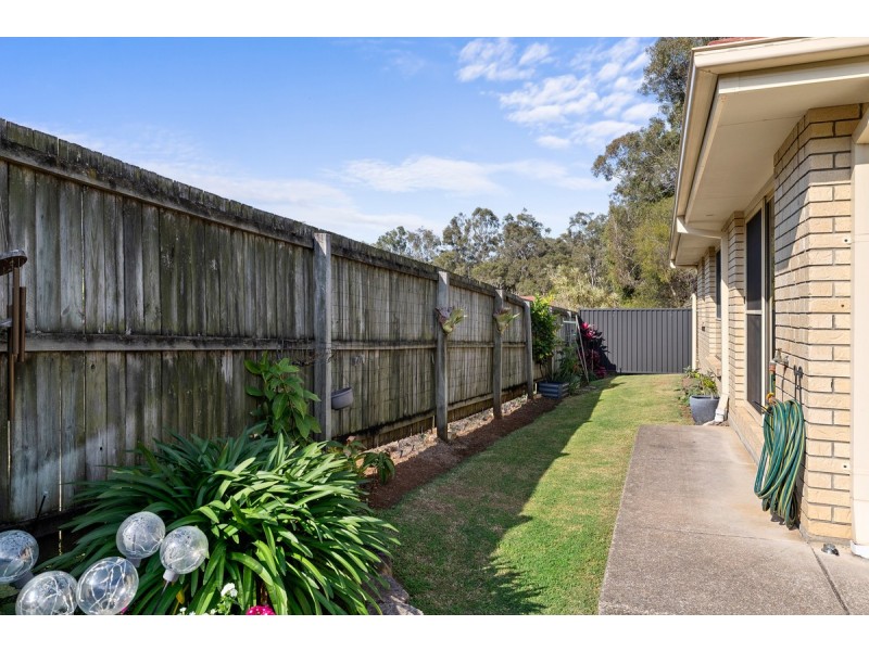 17 Adam Street, Cleveland QLD 4163