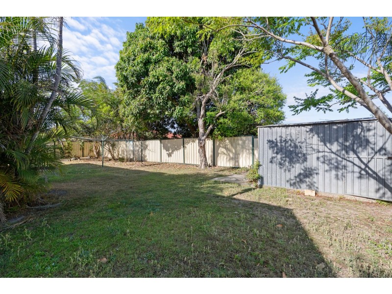 11 Sunbury Street, Birkdale QLD 4159