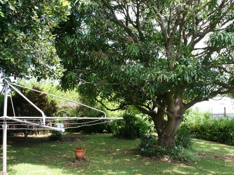 72 Island Street, Cleveland QLD 4163