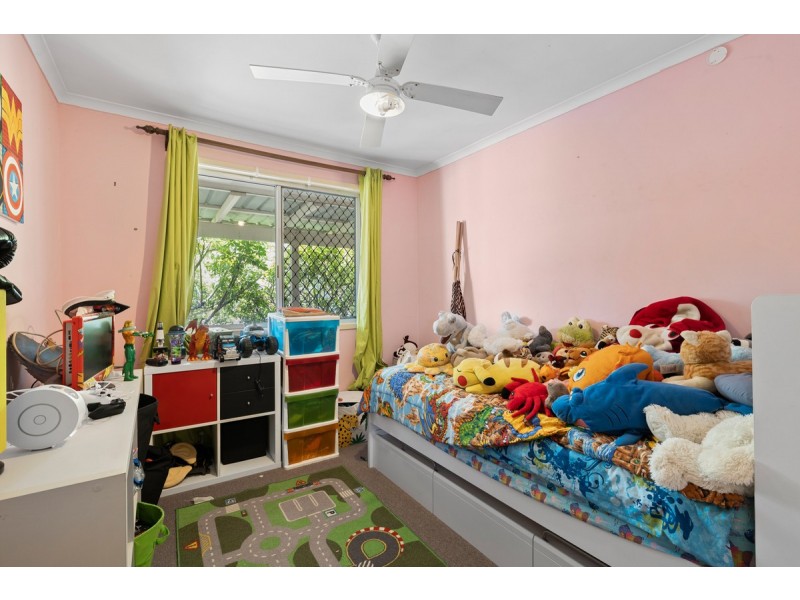 20 Cranford Street, Birkdale QLD 4159