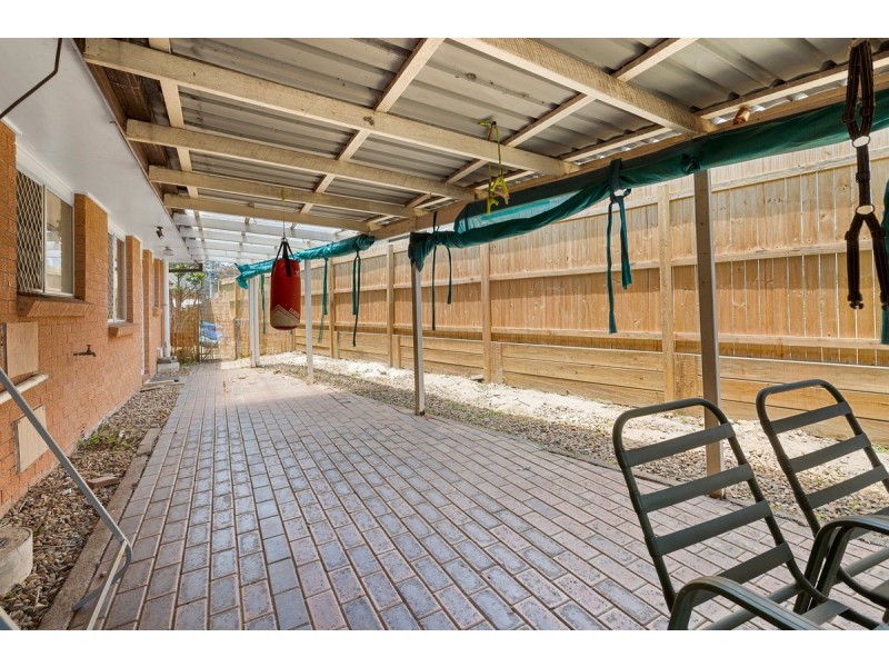 20 Cranford Street, Birkdale QLD 4159