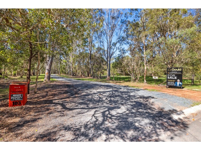 103 Mcmillan Road, Alexandra Hills QLD 4161