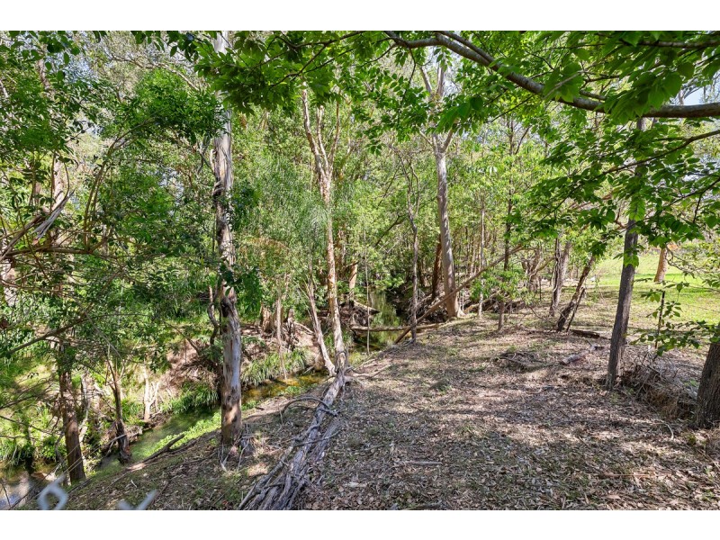 103 Mcmillan Road, Alexandra Hills QLD 4161