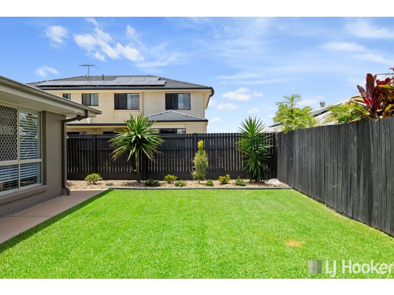 17 Macleay Place, Thornlands QLD 4164