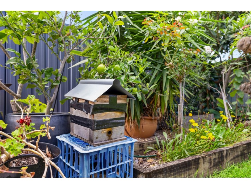 5/226 Mooroondu Road, Thorneside QLD 4158