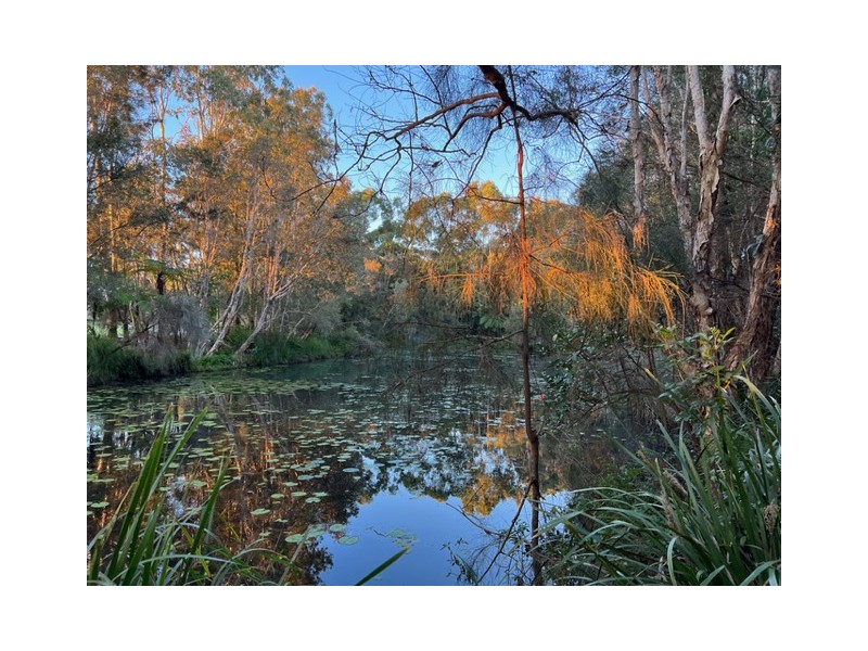 9 Kintyre Street, Victoria Point QLD 4165