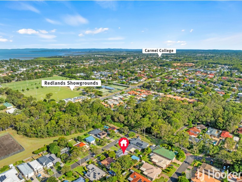 13 Carinya Street, Cleveland QLD 4163