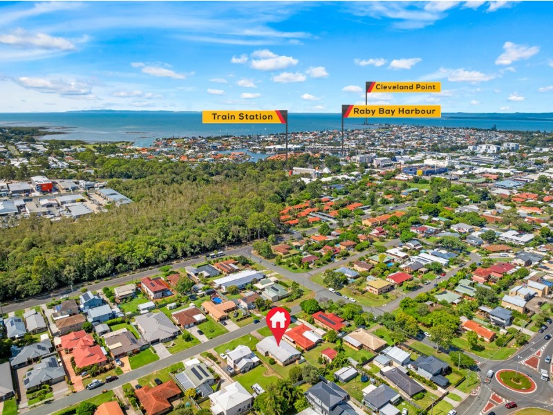 6 Scott Street, Cleveland QLD 4163